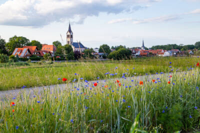 Blick auf Weisendorf mit Kirchturm, Mohnblumen und Kornblumen am Wegesrand
